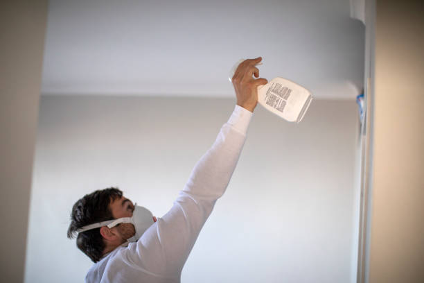Best Industrial Mold Remediation in El Segundo, CA