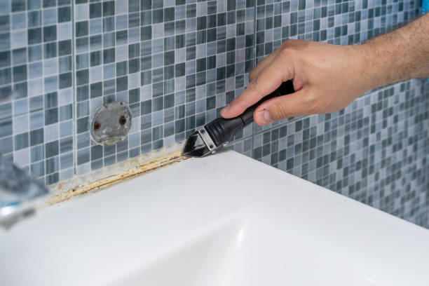 Best DIY Mold Remediation Support Services in El Segundo, CA